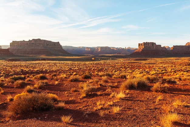 アメリカの風景