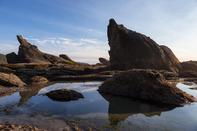 American Nature Background Rocky Beach on West Coast Pacific Ocean