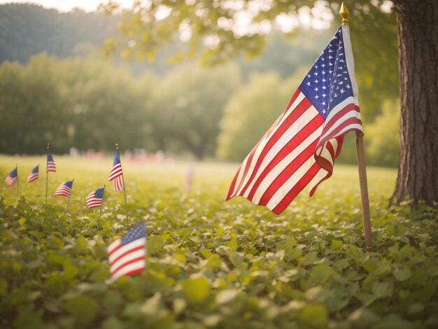 自然の中のアメリカのプライド 穏やかな自然の中にあるアメリカの国旗