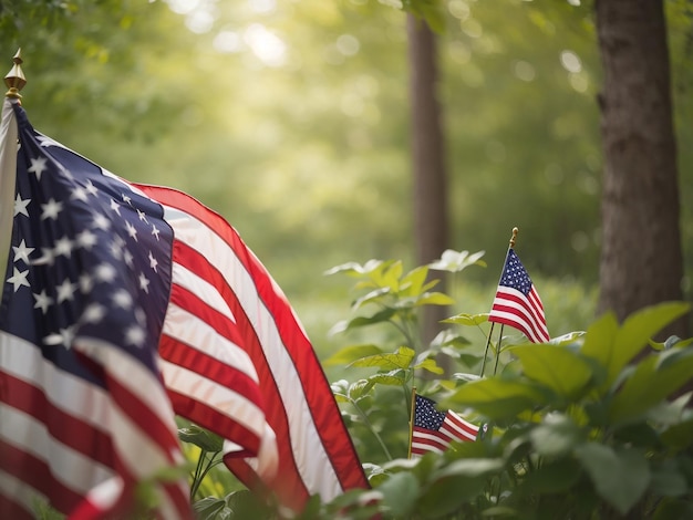 American Pride Amidst Nature USA Flag in Serene Natural Setting