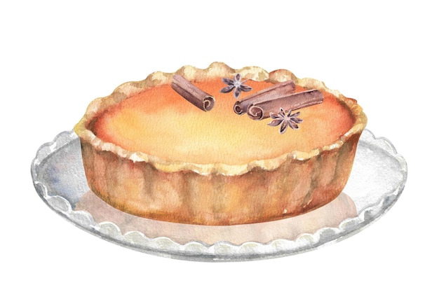 american pumpkin pie with spices on glass plate hand drawn watercolor illustration on white