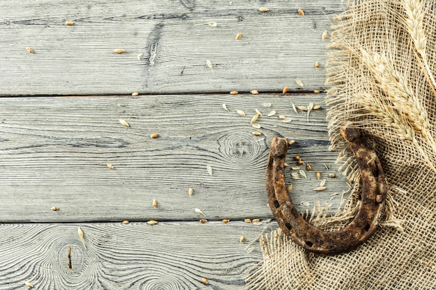 American West still life with old horseshoe with copyspace