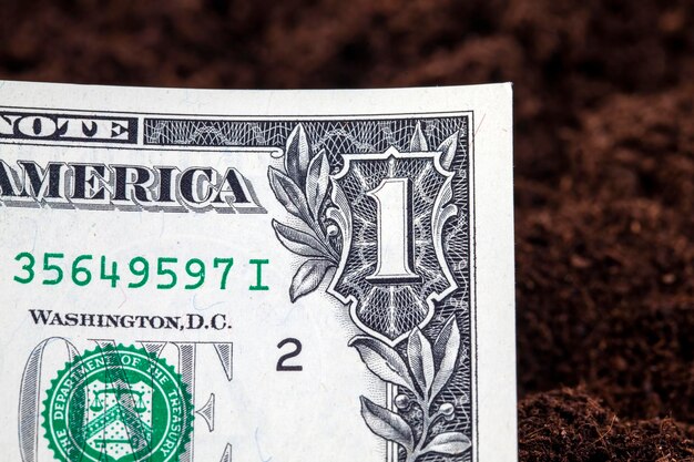 Amerikaans geld op een landbouwveld in vruchtbare grond Amerikaanse contante dollars begraven in de grond