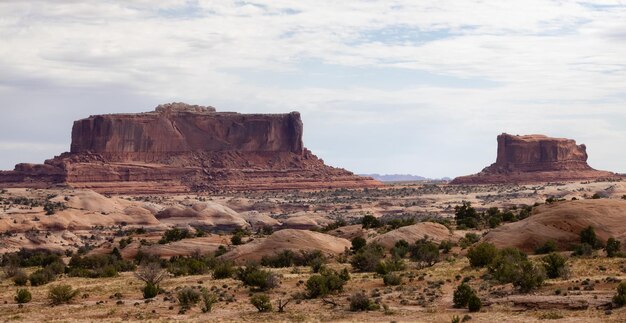 Amerikaans landschap in de woestijn met rode rotsformaties