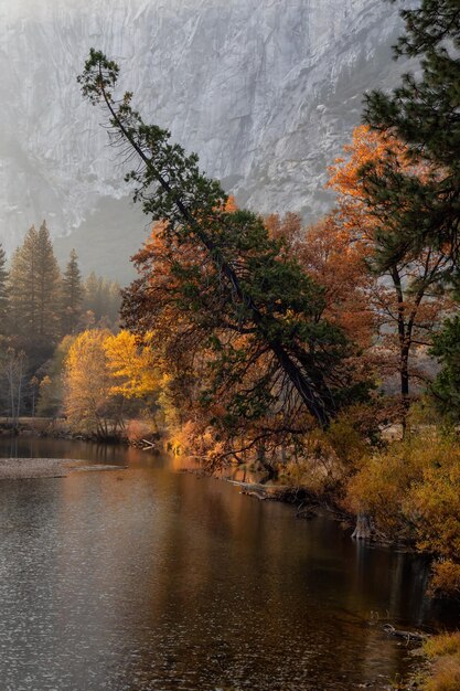 Amerikaans landschap in Yosemite National Park