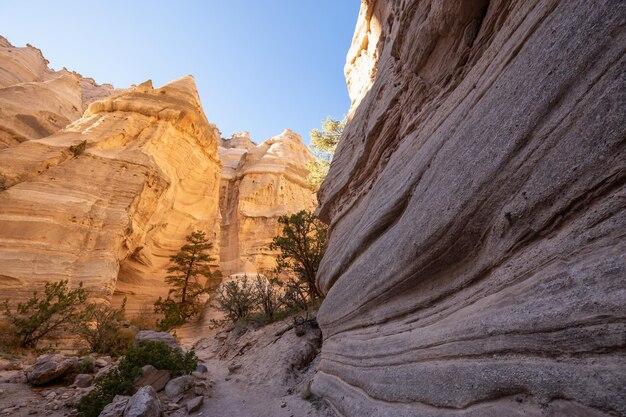 Amerikaans landschap Natuur Achtergrond KashaKatuwe Tent Rocks