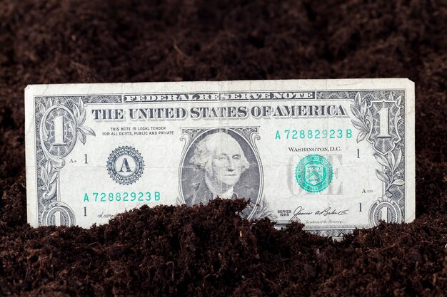 Amerikaanse dollars in de grond van een landbouwveld