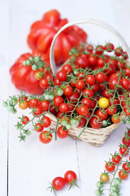 Amerikaanse geribbelde tomaat en kleine kers op takken