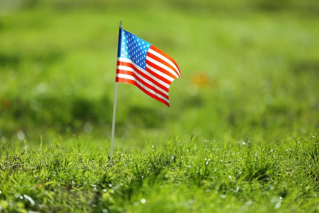 Amerikaanse vlag op groen gras close-up