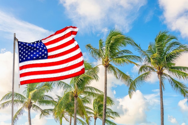 Amerikaanse vlag zwaaiend tegen palmbomen op blauwe hemelachtergrond