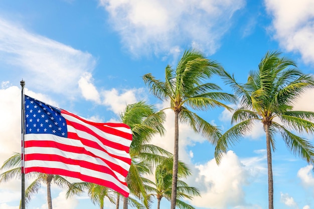 Amerikaanse vlag zwaaiend tegen palmbomen op blauwe hemelachtergrond