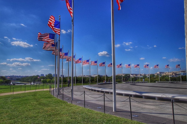 Foto amerikaanse vlaggen in het park tegen de lucht