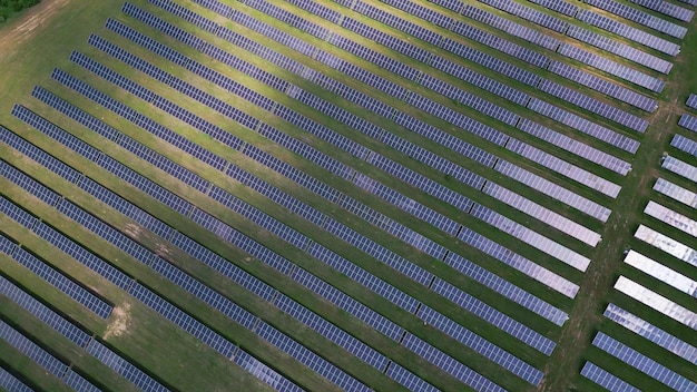 Amidst a lush meadow and forest solar panels stand tall harnessing the sun's energy Their gleaming surfaces reflect the vibrant sky creating a mesmerizing sight