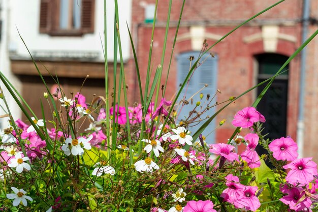 Foto amiens