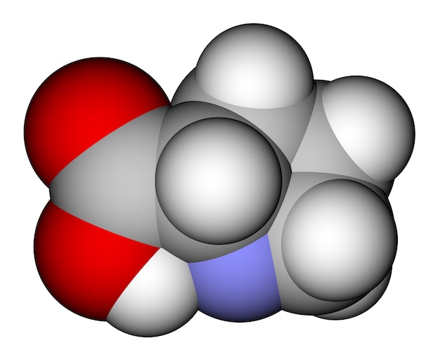 Amino acid proline molecular structure