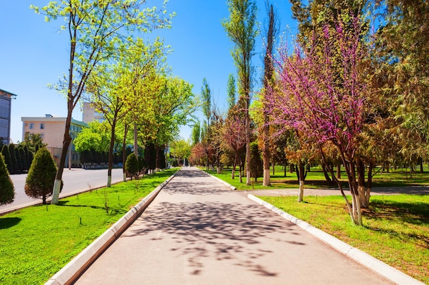 Amir Timur Avenue bij de lente Tasjkent