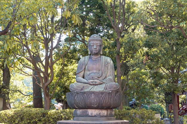 写真 アミタバ像 - センソジ寺院 (日本)