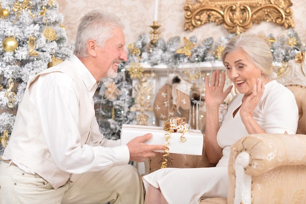 Amusing old couple with Christmas present near tree