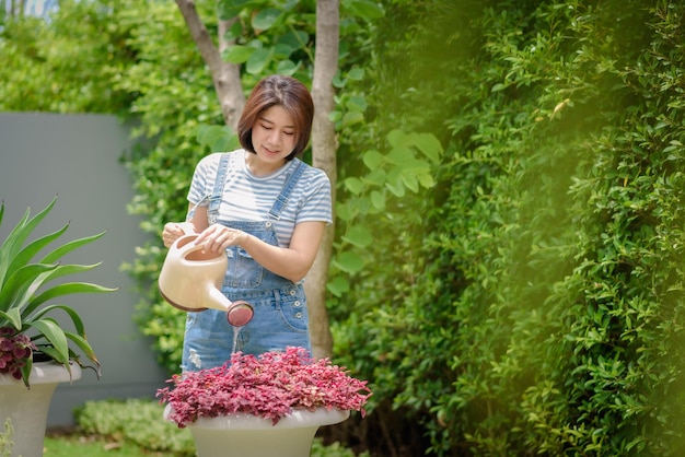 写真 アジアの女性が庭の植物に水をやっています