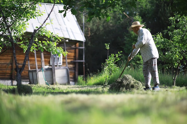 写真 年配の農夫が刈り取った干し草を片付けます白髪の男が牧草地の草を刈り取ります