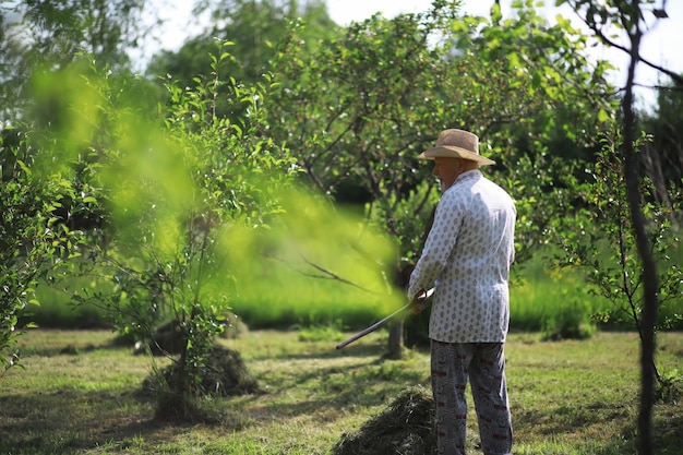 사진 늙은 농부가 자른 건초를 청소하고 있다 백발의 남자가 초원에서 풀을 깎고 있다