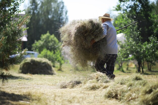 Фото Пожилой фермер убирает скошенное сено седой мужчина косит траву на лугу