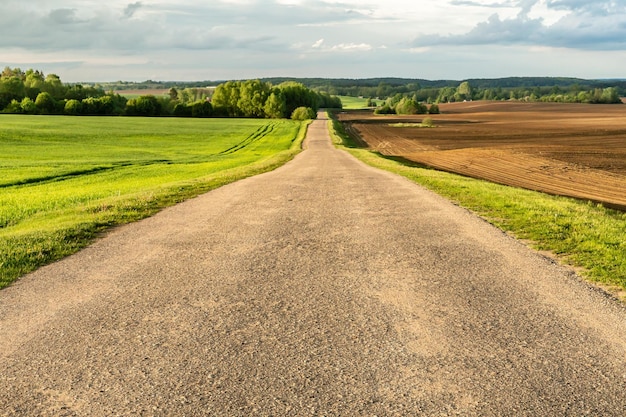 Meadow Road 牧草地の道-