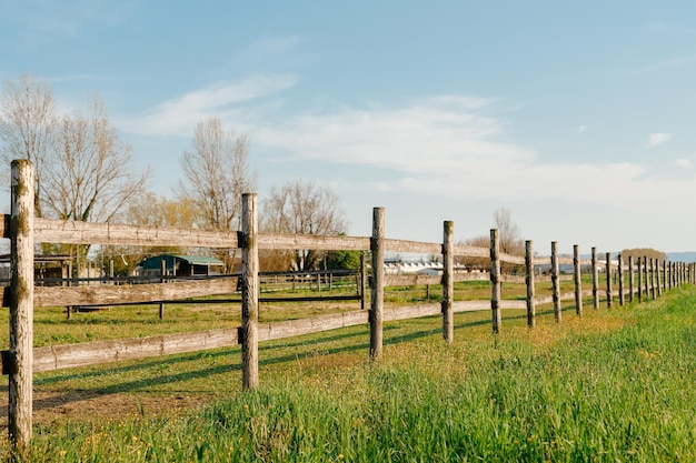 Фото Старый деревянный забор с зеленым загородным полем за ним