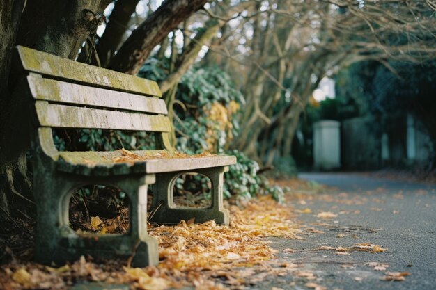 写真 通りの真ん中に座っている古い木製のベンチ