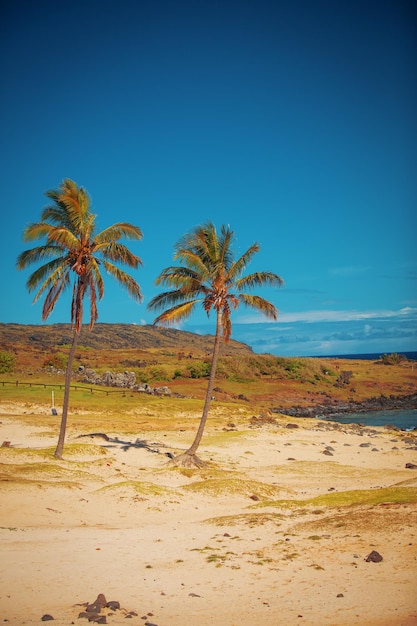 Anakena een wit koraalzandstrand