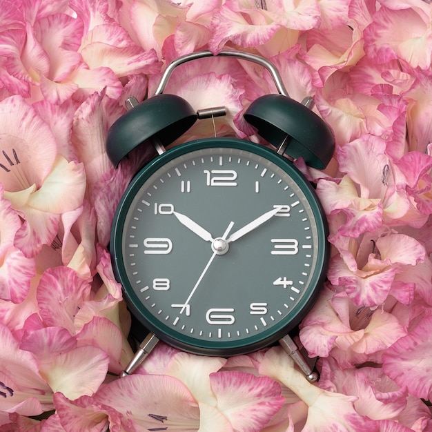 Analog alarm clock in pastel flower petals. Contemporary minimal wake and alert concept.