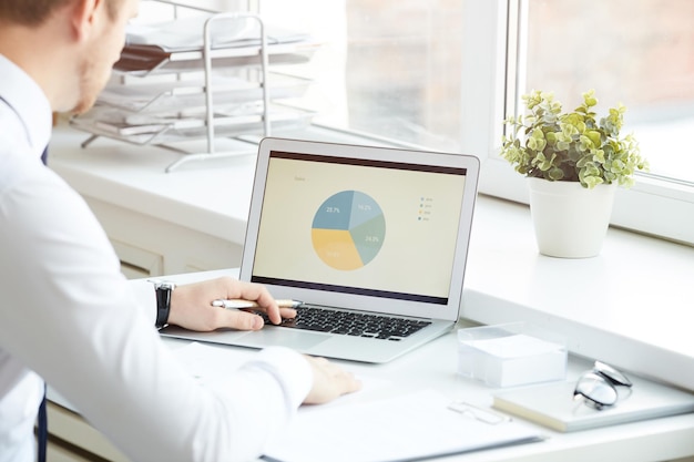 Analyzing statistical pie chart on laptop