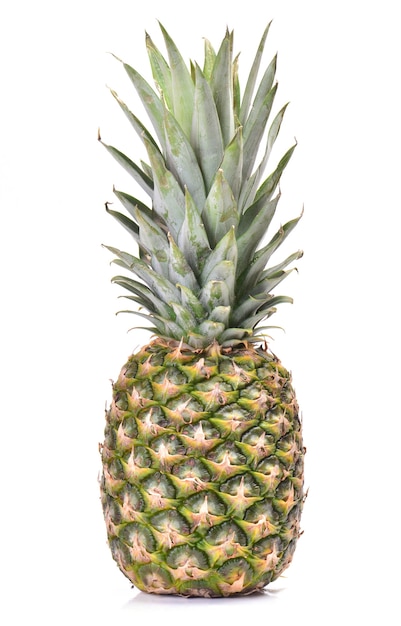 Ananas fruit