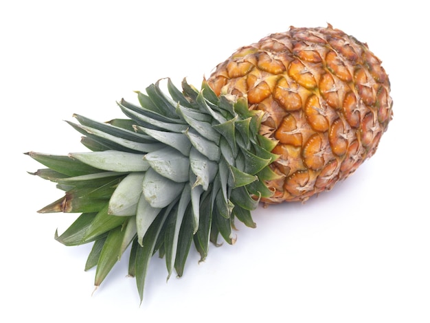 Ananas fruit