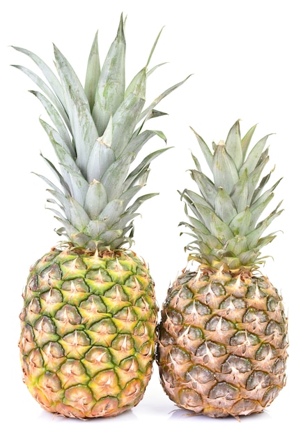 Ananas fruit