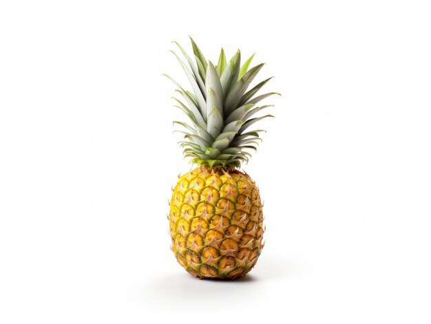 Ananas geïsoleerd op een witte achtergrond Tropische vrucht