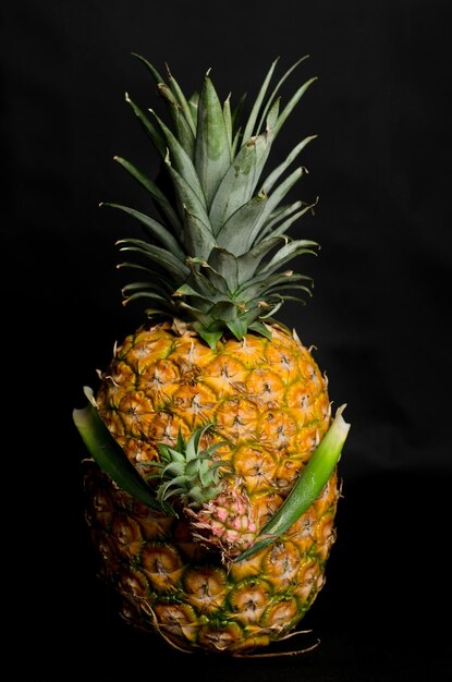 Ananas met een kleine ananas in haar armen