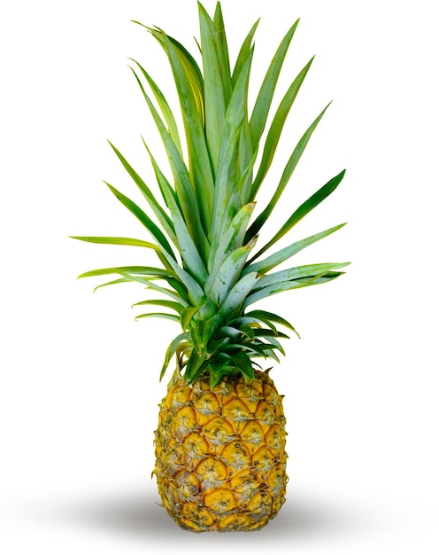 Ananas op geïsoleerde witte achtergrond