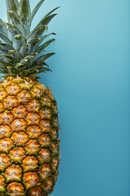 Ananas op gekleurd