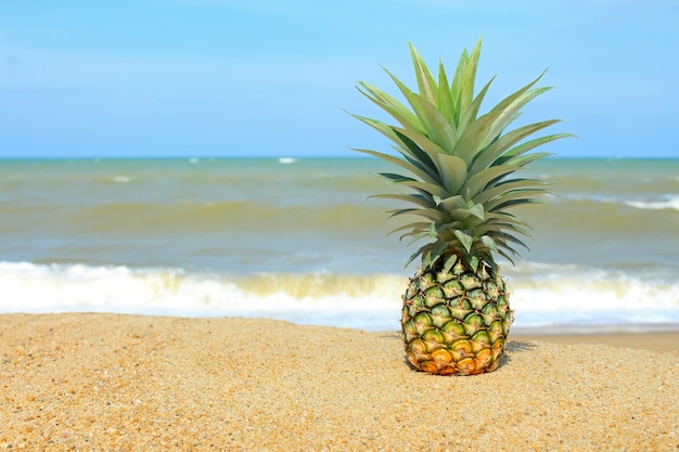 Ananas op het strand met blauwe lucht