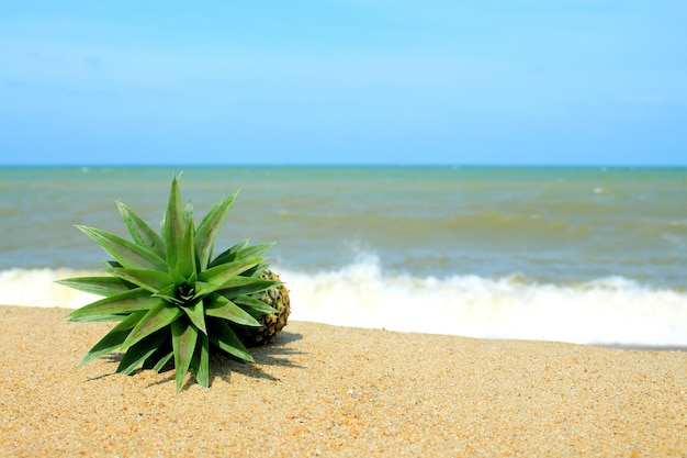 Ananas op het strand met blauwe lucht