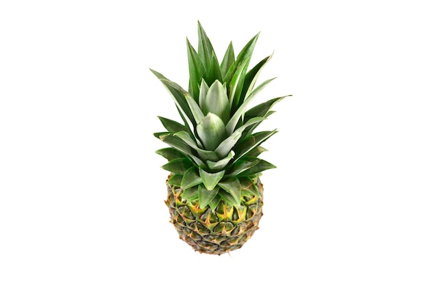 Ananas op wit wordt geïsoleerd dat