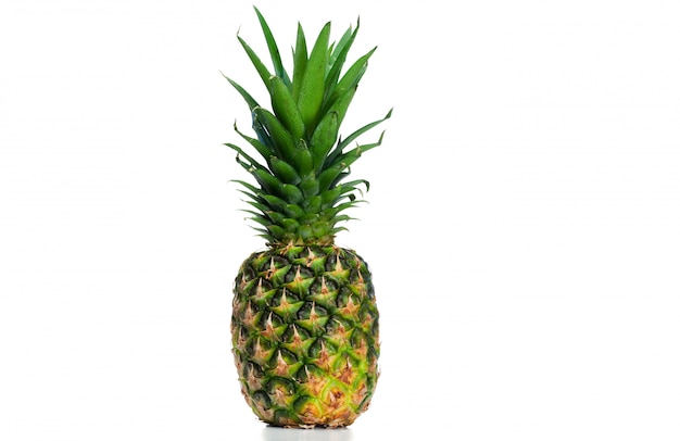 Ananas rechtop