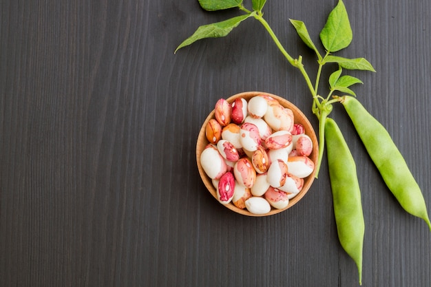 Anasazi beans. close up. 