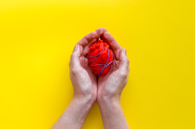 Anatomical heart on yellow