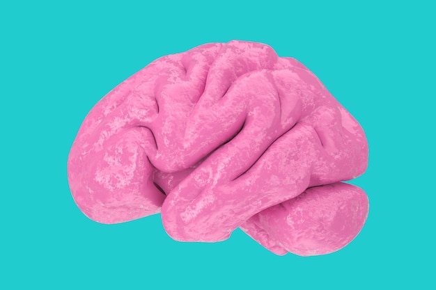 Modello anatomico del cervello umano rosa in stile bicolore su sfondo blu. rendering 3d