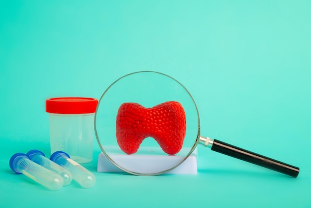 Anatomical model of human thyroid gland with magnifying glass and test tubes and jar for analysis on blue background Early diagnosis and treatment