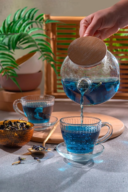 Anchan Thai blue tea Natural antidepressant calms and normalizes the nevus system The power of herbs and natural products ecological consumption harmony with nature