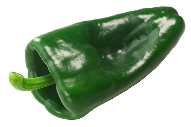 사진 ancho poblano 칠레 고추는 미성숙한 신선한 꼬투리 capsicum annuum 과일을 분리했습니다.