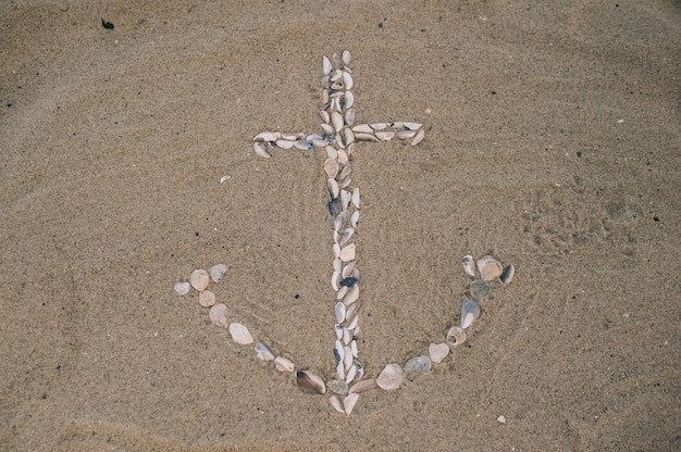 anchor shelling on a sandy sea beach